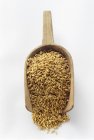 Oats in a Wooden Scoop — Stock Photo