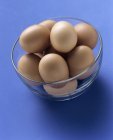 Коричневі яйця в мисці — стокове фото