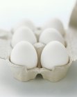 Cartón de huevos blancos - foto de stock