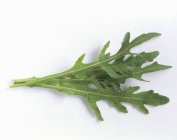 Fresh green Arugula — Stock Photo