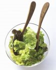Alface mista em tigela de salada de vidro — Fotografia de Stock