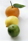 Limão com limão e laranja — Fotografia de Stock
