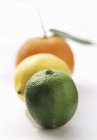 Lime with Lemon and Orange — Stock Photo
