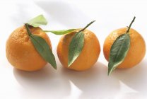 Fresh ripe oranges — Stock Photo