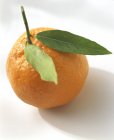Orange with Two Leaves — Stock Photo