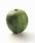 Grüne frische Limette — Stockfoto