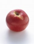 Ganzer Mcintosh-Apfel — Stockfoto