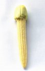 Свіжі baby кукурудза — стокове фото