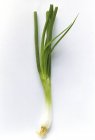 Green Onion on white background — Stock Photo