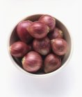 Shallots in a White Bowl — Stock Photo