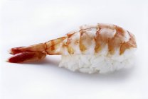 Эби нигири суши — стоковое фото