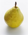 Testy whole Pear — Stock Photo