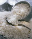 Неприготовленный длинный белый рис — стоковое фото