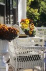 Vista diurna di portico con fiori in vaso e poltrone di vimini — Foto stock