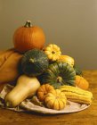 Raw squashes and pumpkins — Stock Photo