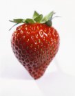 Strawberry with green leaves — Stock Photo