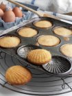 Madeleines in Baking Pan — Stock Photo