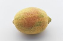 Closeup Whole Pink lemon — Stock Photo