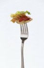 Pasta salad with chicken on fork — Stock Photo