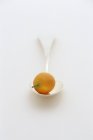 Fresh ripe kumquat on spoon — Stock Photo