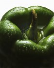 Pimienta verde madura fresca - foto de stock