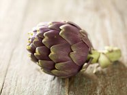 Artichaut violet simple — Photo de stock
