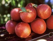 Haufen frischer Pfirsiche — Stockfoto