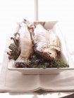 Pesce intero preparato su piatto — Foto stock