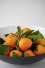 Mandarin oranges in bowl — Stock Photo