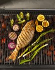 Whole grilled Snapper — Stock Photo