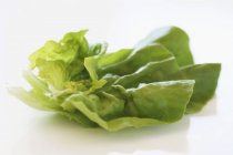 Кілька листя салату — стокове фото