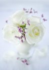 Vista de cerca de rosas blancas en un jarrón - foto de stock