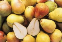 Ripe yellow pears — Stock Photo