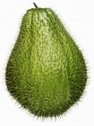 Prickly chayote on white background — Stock Photo