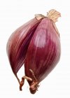 Red shallot, close-up on white — Stock Photo