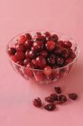 Fresh and dried cranberries in bowl — Stock Photo