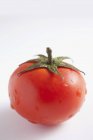 Свіжий стиглий червоний помідор — стокове фото