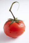 Tomate rouge mûre fraîche — Photo de stock