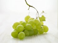 Bouquet de raisins verts — Photo de stock
