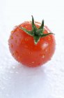 Tomate rojo maduro fresco - foto de stock