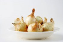 Cebollas en un plato profundo - foto de stock