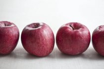 Manzanas rojas maduras frescas - foto de stock
