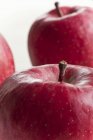 Свіжі стиглі червоні яблука — стокове фото
