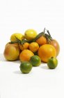 Various citrus fruits — Stock Photo