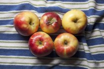 Manzanas Mitsu en toalla rayada - foto de stock