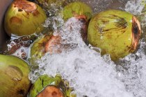 Noci di cocco in acqua con ghiaccio — Foto stock