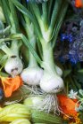 Купа свіжих овочів з саду — стокове фото