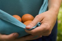 Человек, собирающий яйца — стоковое фото