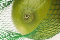 Lime in green net — Stock Photo