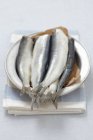 Fresh raw herring in plate — Stock Photo